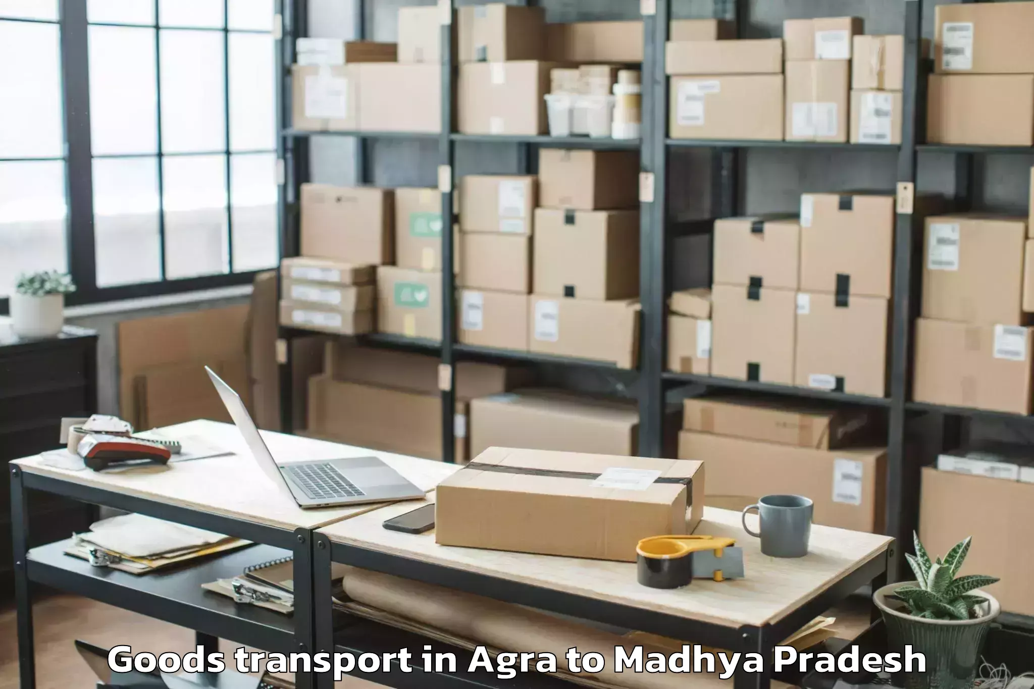 Affordable Agra to Porsa Goods Transport